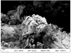 发明名称：一种含氯酸刻蚀制备层状MXenes材料的方法